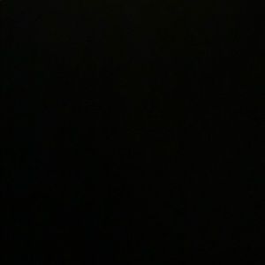 Meet your Posher, Payton